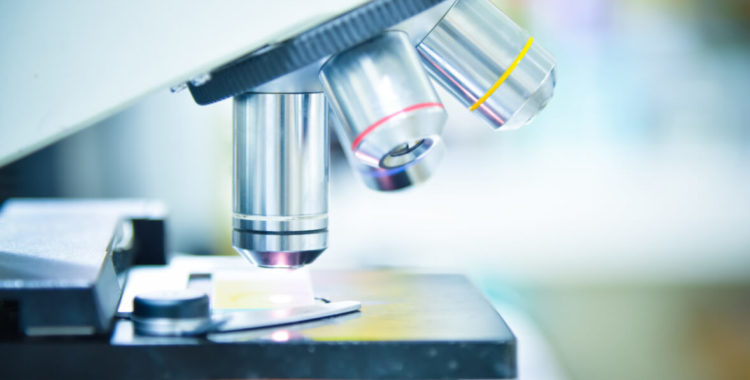 Microscope in laboratory