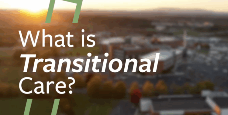 Screenshot 2025-10-29 at 11.53.16 AM