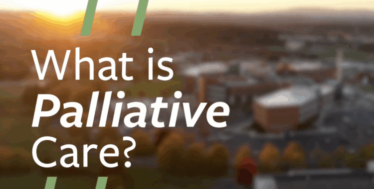 Screenshot 2025-10-29 at 11.53.24 AM