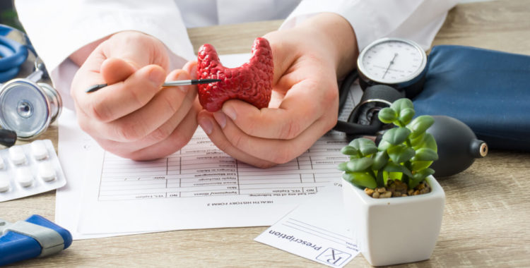 physician shows to patient shape of thyroid gland