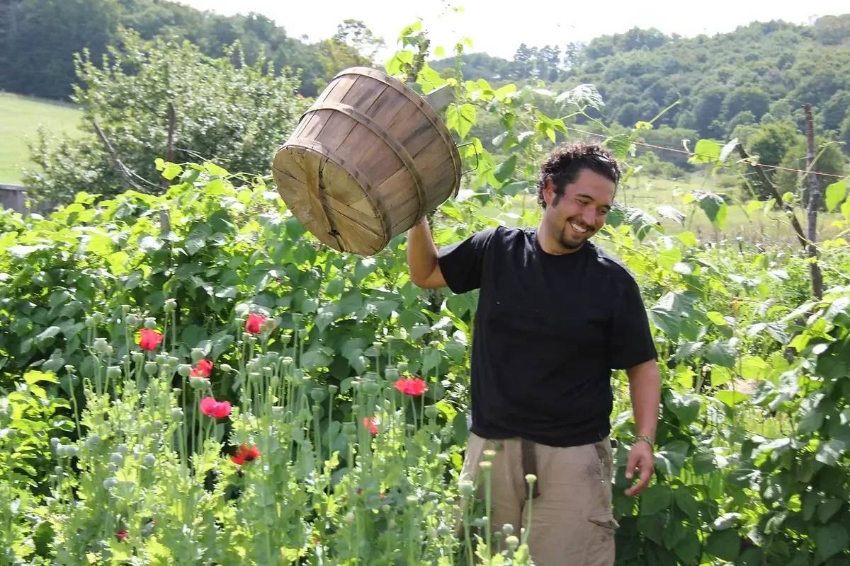 AMI Farming