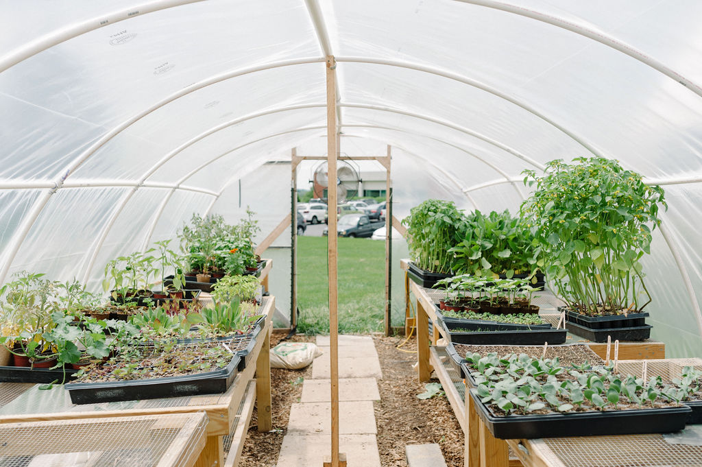 SeraPetrasPhotography_AugugstaHealth-20