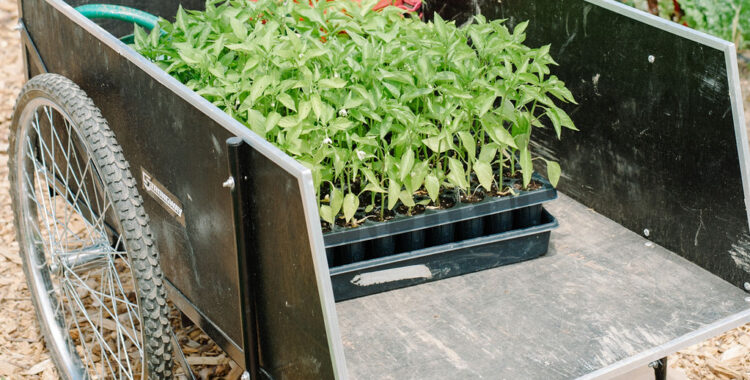 SeraPetrasPhotography_AugugstaHealth-42