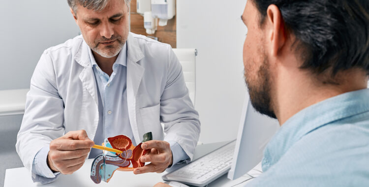 Doctor urologist consulting patient with prostatitis, explaining to him methods of treatment using anatomical model of male reproductive system. Prostatitis treatment