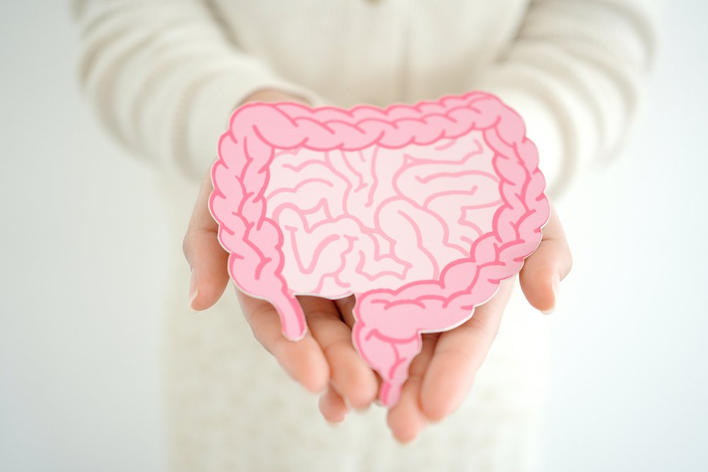 Healthy Gut Habits That Support Digestive Health cover